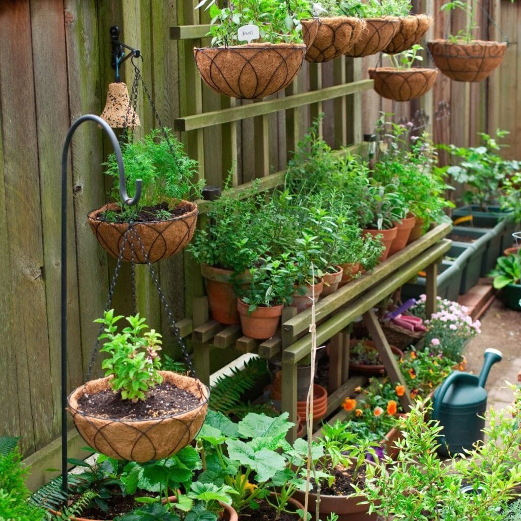 Container Garden For Beginners, How Do I Start A Small Garden For Beginners